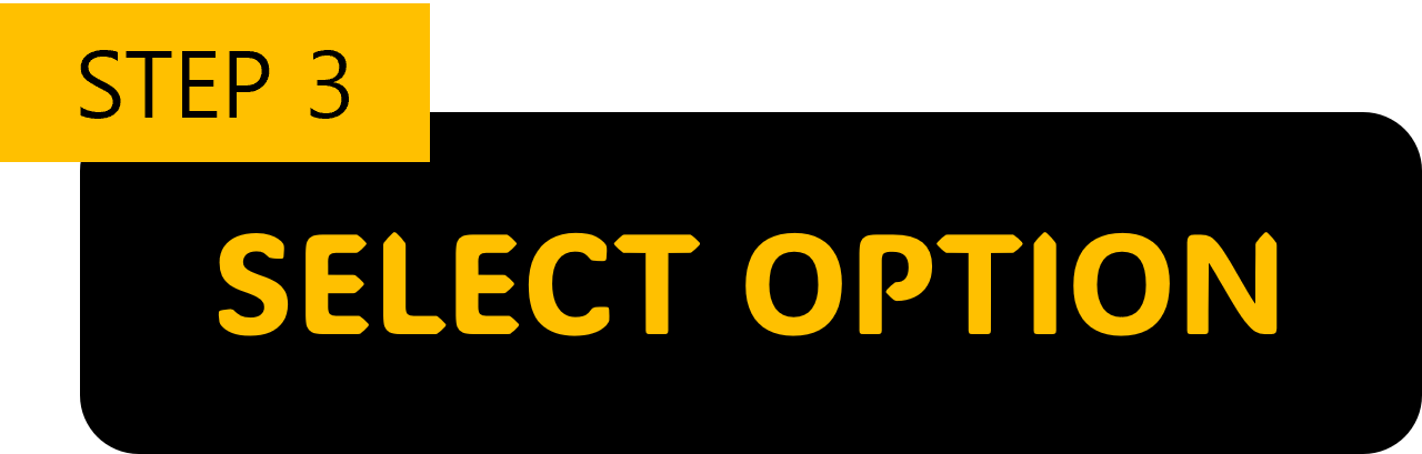 Step 3 — Select Option